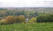 Randonnée A pied Ilsfeld - SB3 Vom Neckar zur Schozach - Photo 10