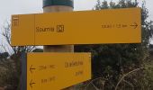 Tour Wandern Prats-de-Sournia - prats de sournia hetre remarq.419 m 12km  - Photo 5