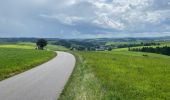 Tour Wandern Sankt Vith - Lommersweiler  variante chouette  - Photo 10