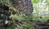 Tour Wandern Oberhaslach - Oberhaslach - Photo 6