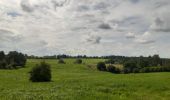 Tocht Stappen Pepinster - les 3 bois / cornesse  .  gofontaine  .  pepinster  .  cornesse  - Photo 18