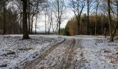 Trail Walking Tellin - Grupont au Bois de Machi - Photo 3