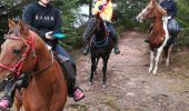 Trail Horseback riding Badonviller - badonviller avec les filles  - Photo 5