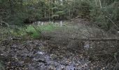 Tocht Te voet Ober-Mörlen - Wanderwege Winterstein - Alttier - Photo 8