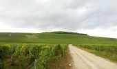 Trail Walking Reuilly-Sauvigny - Reuilly-Passy s/Marne - Photo 2