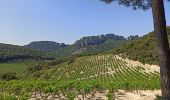 Tocht Mountainbike Vaison-la-Romaine - Tour des Dentelles - Photo 3