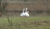 Tocht Te voet Beekdaelen - Blauwe Route - Photo 1