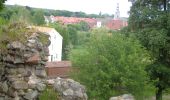 Tocht Te voet Bad Belzig - Naturparkrundwanderweg 11 - Photo 5