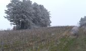 Excursión Senderismo Jussy - JUSSY - gelée blanche - Photo 2