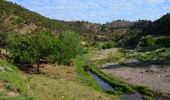 Randonnée Marche Fréjus - PK Malpasset - Vallon de Jasnin - Photo 10