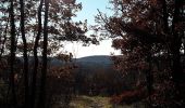Trail On foot Triest - IT-26 - Photo 8