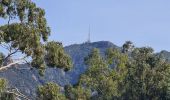 Trail Walking Saint-Raphaël - saint Raphaël mamelons de l esterel - Photo 4