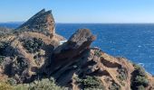 Tour Wandern La Ciotat - Falaise La Ciotat - Mugel - ND de la Garde - Ste Frétouse - Photo 5