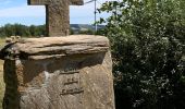 Excursión Senderismo Salles-Curan - Randonnée des Éoliennes  - Photo 5