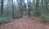 Trail Walking Liège - boncelles . la roche aux faucons retour  - Photo 12
