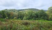 Trail Walking Bouillon - Bellevaux 190923 - Photo 15