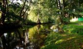 Tour Zu Fuß Beratzhausen - W 26 Laaber - Beratzhausen (Rotes Dreieck) - Photo 4