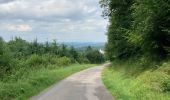 Trail Road bike Montsauche-les-Settons - Château messenaire  - Photo 3