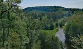 Excursión Senderismo Chiny - Promenade vers le Rocher Du Hat - Photo 1