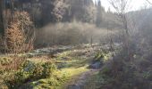 Randonnée Marche Houffalize - Wibrin - Photo 14