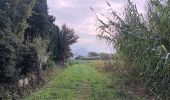 Tour Wandern Argelès-sur-Mer - en attendant mes pneus  - Photo 18