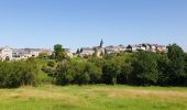 Excursión Senderismo Anhée - De Haut-le-Wastia à Salet - Photo 5