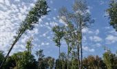 Tour Wandern Heers - Wikiloc Hornebos  (PVDB) - Photo 7