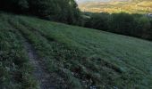 Tocht Mountainbike Champagnier - petit tour champagnier  - Photo 1