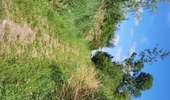 Trail Walking Dalhem - mortroux DA7  - Photo 18