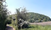 Randonnée Marche Liège - rando la plus bucolique sur les coteaux rive gauche de la meuse - Photo 20