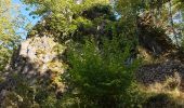 Tour Wandern Oberhaslach - Cascade et château du Nideck - petit tour - Photo 8