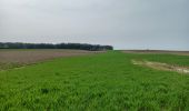 Trail Walking Genappe - Houtain-le-Val-Nivelles - Photo 3