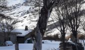 Tocht Sneeuwschoenen Bessans - vincendiere averole - Photo 2