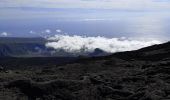 Tocht Stappen Sainte-Rose - Le Piton de la fournaise (aller)  - Photo 13