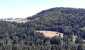 Randonnée Marche Goudet - Au fil de la Loire sauvage  - Photo 6