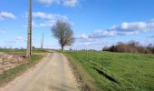 Tocht Stappen Hannuit - La promenade de la Mouhagne  - Photo 4