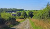 Tocht Stappen Froidchapelle - Balade au Lac de l'Eau d'Heure - Photo 2