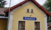 Randonnée A pied Kokašice - NS Ovčí vrch - Photo 8