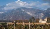 Tour Zu Fuß Landquart - Ganda - Igis - Photo 3