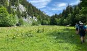 Randonnée Marche Saint-Pierre-d'Entremont - La Croix de l’Alpe 10,7 km - Photo 7