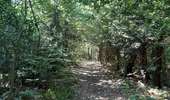 Excursión Senderismo Lieja - angleur . bois st Jacques . sart tilman . bois st laurent . angleur  - Photo 17