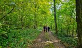 Tour Wandern Philippeville - Balade de Roly à Villers-en-Fagne - Photo 7