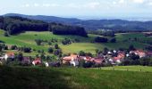 Tocht Te voet Abtsteinach - Rundwanderweg Steinachquelle 4: Götzenstein-Weg - Photo 2