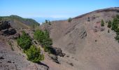 Tour Wandern El Paso - Wikiloc - La Palma: Cumbre Vieja Vulkaanroute half - Photo 7