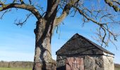 Tour Wandern Ferrières - xhoris - Photo 6