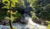 Randonnée Marche Tolmin - Gorges de Tolmin randonnée Slovénie - Photo 5