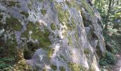Randonnée Marche Magny-les-Hameaux - bois des roches - Photo 17