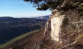 Excursión Senderismo Saint-Martin-en-Vercors - Pas st Martin - Photo 5