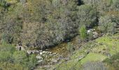 Excursión A pie Entre Ambos-os-Rios, Ermida e Germil - Trilho de Entre Ambos-os-Rios à Ermida - Photo 5