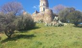 Tocht Stappen Grimaud - Grimaud - le pont des fées - Mont Roux 11.3.23 - Photo 13